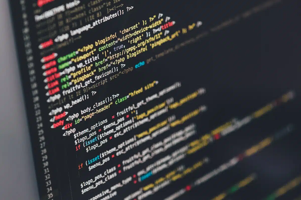 Desarrollo web y código en WordPress