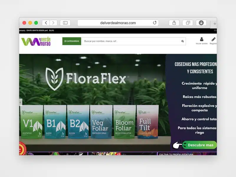 Web de Del Verde al Morao desarrollada por Web Consulting